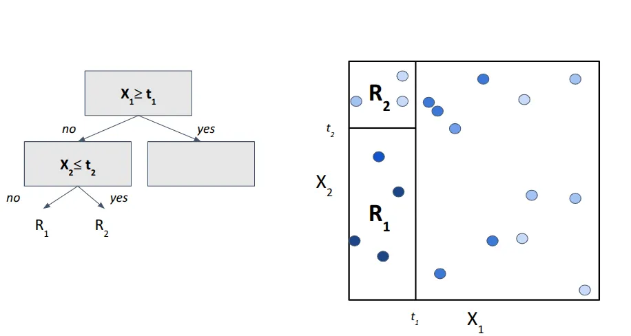 Figure 4. Second split.