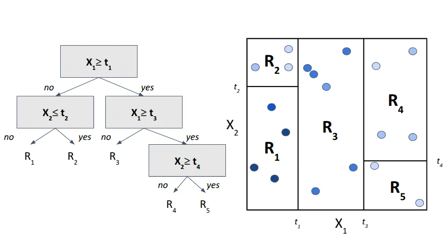 Figure 5. Third split.